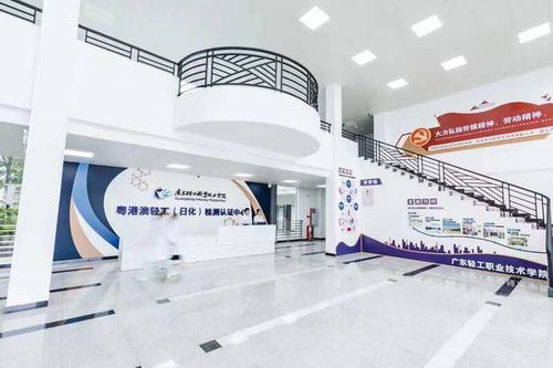 廣東新設(shè)職業(yè)本科院校首次招生，軟件服務(wù)專(zhuān)業(yè)迎來(lái)210名學(xué)子